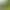 Preview image for Himself