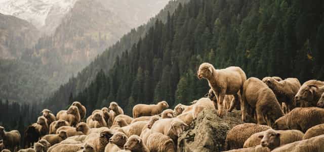 Featured image for Come To Me... Learn from Me