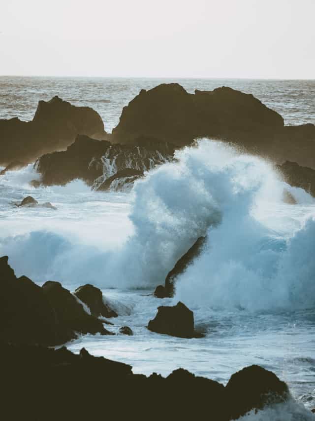 Preview image for Accepting the Circumstances of His Choice