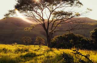 Preview image for Waiting on God — For His Light in the Heart