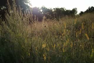 Featured image for A Call to Looking Unto Jesus