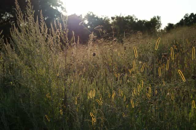 Featured image for A Call to Looking Unto Jesus