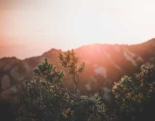 Featured image for The New Life – 4. Faith