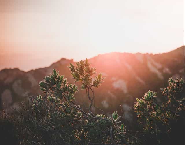 Featured image for The New Life – 7. Jesus’ Surrender of Himself