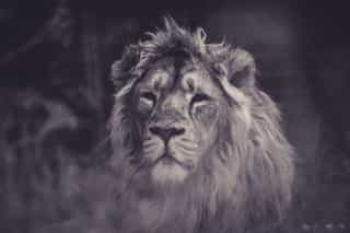 Featured image for The Indwelling and Lordship of Christ