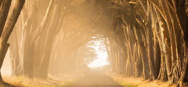 Featured image for Not Knowing The Things That Shall Befall Me