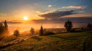Featured image for The New Life – 2. The Milk of the Word